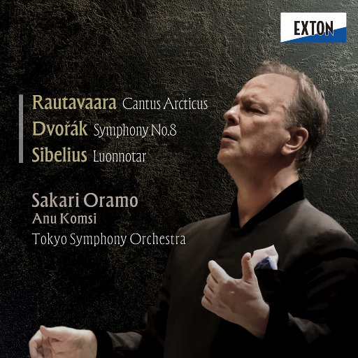 农村少妇迎合着我
